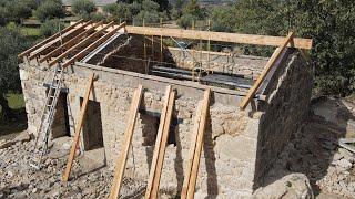 Time to Harvest: Our Roof Project Pauses for Olives!