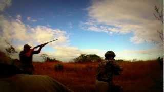 High Volume Duck and Dove Hunting in South America