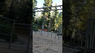 Monkey bar technique: lateral traverse