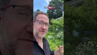 Do Food Forests Work? (Here’s my 25 years of experience)