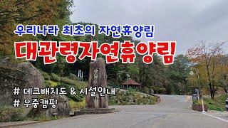 대관령자연휴양림 2박3일 캠핑 / 우리나라 최초의 국립자연휴양림 / 데크정보 / 시설안내 / 야영장배치도