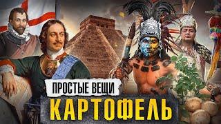 КАРТОФЕЛЬ: История голода / Простые вещи / МИНАЕВ