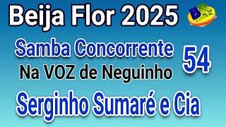 Beija Flor 2025 Serginho Sumaré e Cia Samba Concorrente na Voz de Neguinho SAMBA 54 Carnaval 2025