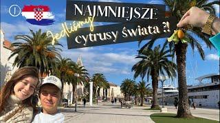 MIASTECZKO W CHORWACJI które koniecznie trzeba odwiedzić | 1 #dalmacja  #vlog #chorwacja #split