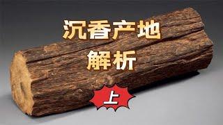 沉香产地大解析！马泥捞和达拉干以及加里曼丹沉香有何关系