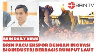 BRIN Pacu Ekspor dengan Inovasi Bioindustri Berbasis Rumput Laut | BRIN DAILY NEWS (18/11/2024)