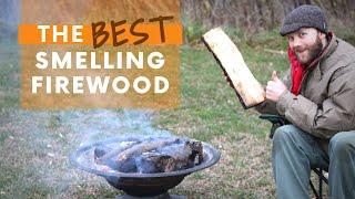 THE Best Smelling Firewoods (4 Categories of Campfire Bliss)