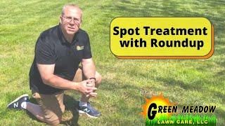 Spot Treat Weeds Without Killing Grass