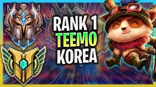 RANK 1 TEEMO IN THE WORLD! | RANK 1 TEEMO TOP GAMEPLAY | RANK 1 TEEMO GUIDE