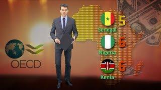 #Sektor 10 o tym jak robić biznes w Afryce
