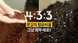 절대 실패하지 않는 흙 배합법! l 분갈이 흙 이걸로 끝! l 플로리스트의 분갈이 노하우 공개