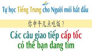 Mẫu câu giao tiếp cấp tốc Tiếng Trung  || Đất Việt ABC - Tiếng Trung cho người mới bắt đầu