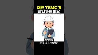 대만 TSMC가 잘나가는 이유