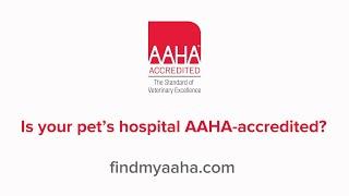 American Animal Hospital Association AAHA