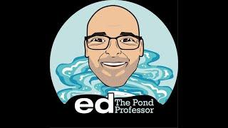 Introducing ED BEAULIEU THE POND PROFESSOR