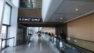 칭다오 자오둥 국제공항 Qingdao joaodong international Airport - 지문등록, 중국단체비자수속