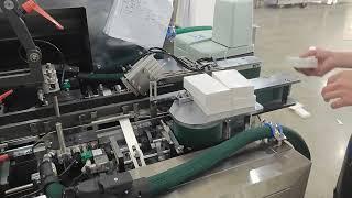 YL 100 Cartoning machine for sachet