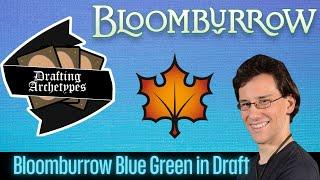 Drafting Archetypes 180: Blue Green in Bloom Burrow