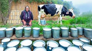 Organic Butter Made: Healthy Recipes from Fresh Cow's Milk in the Village!