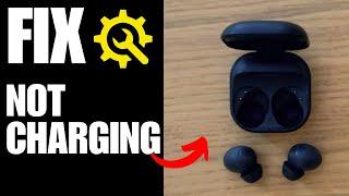 Samsung Galaxy Buds 2 Pro Not Charging