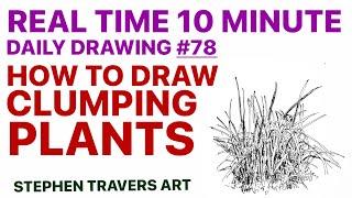 How to Draw Clumping Plants