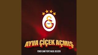 Ayva Çiçek Açmış (feat. Uğur Bayhan, Alican Genç, Kadir Uyar) (Fener Sami Yen'e Nasıl...