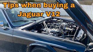 Jaguar V12 - What to Look Out For