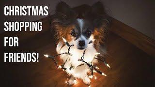 Percy Goes Secret Santa Shopping // Percy the Papillon Dog