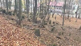 Bedzin Jewish cemetery Podzamcze Street - November 4, 2022