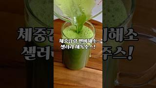 물 한 방울 없이 샐러리 100% 착즙 주스 만드는 법#해독주스 #샐러리주스 #다이어트주스