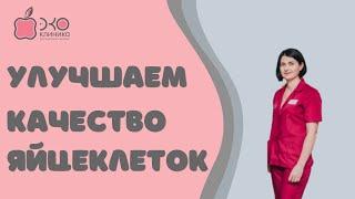 Качество яйцеклеток для ЭКО