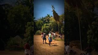 tree cutting #tree #cuttingskills #shorts #villagelife #tn49 #teamwork