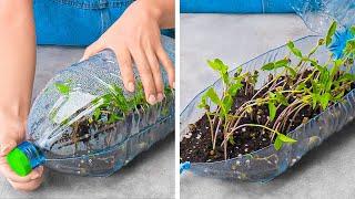 Unusual Hacks For Growing Plants Anywhere  || Gardening Tips & Hacks For Beginners 