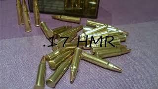 How to pronounce .17 HMR?