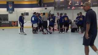 Ball Hockey Fights - Ball Hockey Brawls - TriCity Seekers vs. nWo (UFC + WWE Version - Raw)