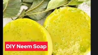 How to Make Neem Soap for Treating Itching Skin Pimples, Acne & Eczema | DIY Antibacterial Neem Soap