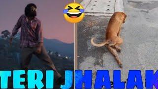 stylish hero nd dogs Teri jallak status video/dipankar clip