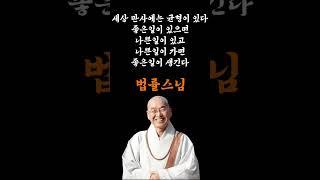 법률스님의 지혜로운 명언 #쇼츠 #shorts