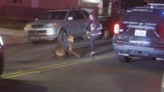 Violent Woman Taken Down by K-9 & Officers (Caught on Camera)