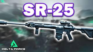 Delta Force: Best SR-25 Loadout (Long Range Beast!)