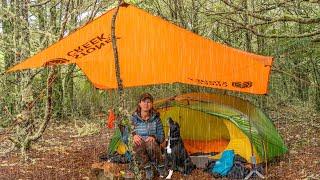 Camping Alone in Heavy Rain and Thunder (with my Dog)