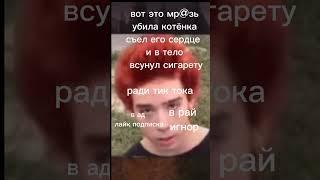 подпишись ради котёнка #subscribe #tiktok #youtube #death #грусть #котёнок #живодёр #shorts