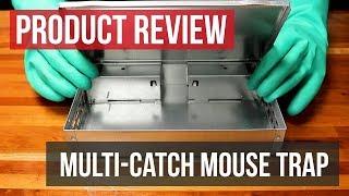 Multi-Catch Humane Mouse Trap: Product Review