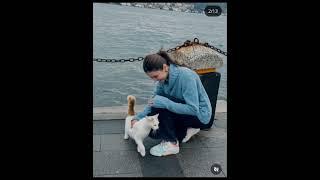 Hirafaisal #youtube #sistorology #shorts