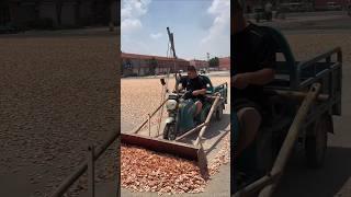 Shrimp harvesting – good tools and machinery make the job more efficient