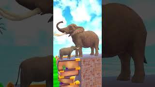 Tiger  vs Elephant - Knowledge vs Money #shorts #3danimals