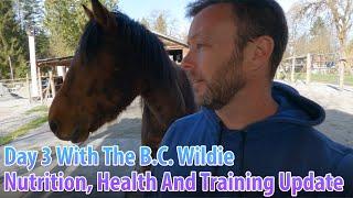 Day 3 With The B.C. Wildie: Nutrition, Health And Training Update