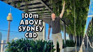 Cascading Rooftop Garden in the middle of Sydney - a Fytogreen Installation