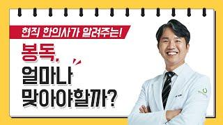 봉독 얼마나 맞아야할까?