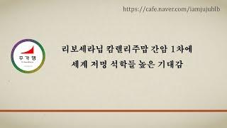 [HLB그룹] 리보세라닙 캄렐리주맙 간암 1차에 세계 저명 석학들 높은 기대감 #에이치엘비, #HLB, #리보세라닙, #항암제, #신약, #제약주